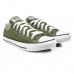 Tênis Converse Chuck Taylor All Star Seasonal Colors Feminino Verde / Branco