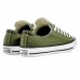 Tênis Converse Chuck Taylor All Star Seasonal Colors Feminino Verde / Branco