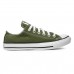 Tênis Converse Chuck Taylor All Star Seasonal Colors Feminino Verde / Branco