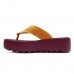 Sandália Melissa M-Lover Thong Platform Feminina Bordô / Amarelo